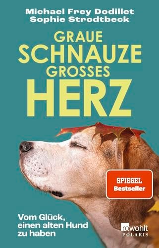 Graue schnauze großes herz - großes,