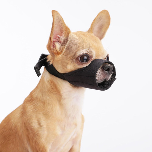 Maulkorb kleine hunde - maulkorb,