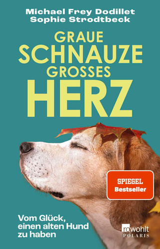 Graue schnauze großes herz - schnauze,,