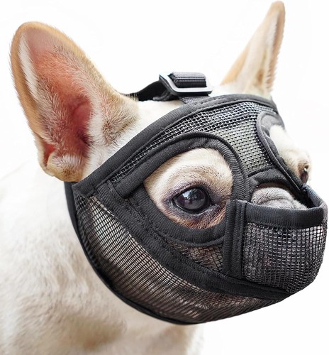 Hundemaulkorb für