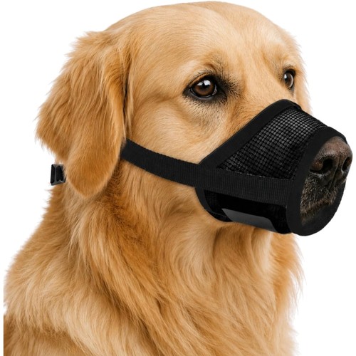 Hund maulkorb hundeschnauze - hund,