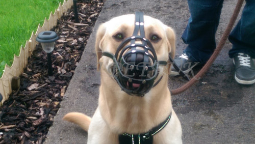 Neu licht leder hundemaulkorb - neu,