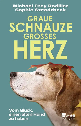 Graue schnauze großes - schnauze,,