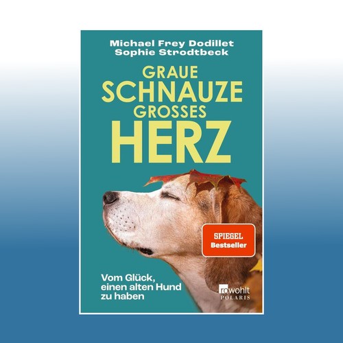 Graue schnauze großes herz - graue,