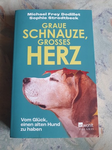 Graue schnauze großes - ,,graue, schnauze,großes