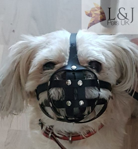 Leder hund maulkorb für - leder,
