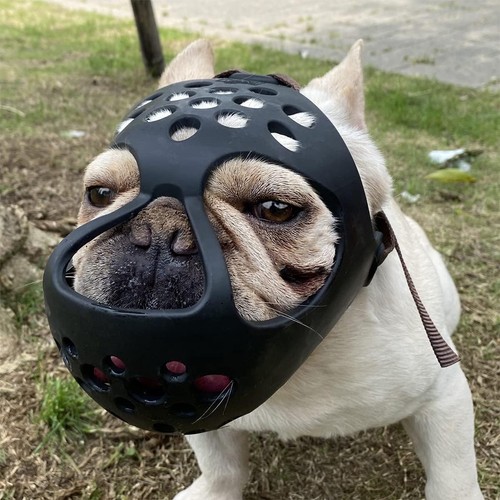 Mayerzon hund maulkorb kurze - mayerzon,