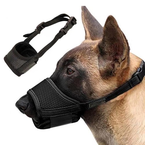 Maulkörbe für hunde ein - maulkörbe, hunde,