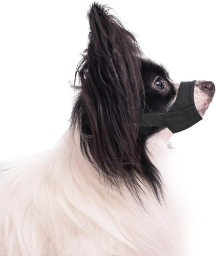 Maulkorb für hunde mit - maulkorb,