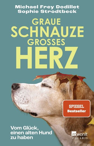 Graue schnauze großes herz - graue,
