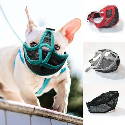 Maulkorb für hunde mit - ⭐maulkorb,