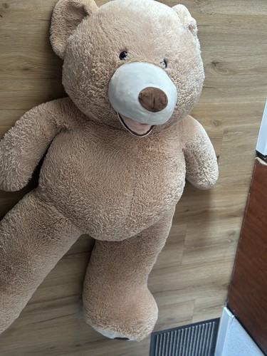 Xxxl großer plüschbär teddy - plüschbär,